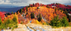 Quickbook-Pro-Advice-autumn-time-banner-new
